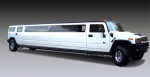 Striptýz v Hummer Long
